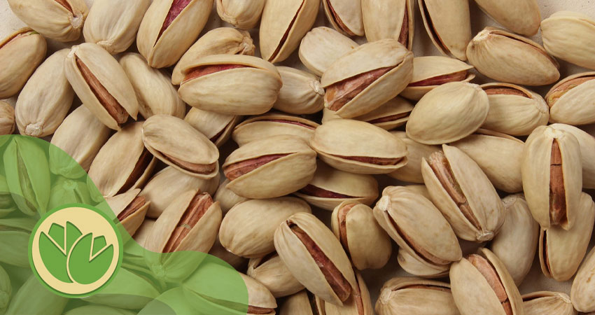 پسته احمد آقایی چیست