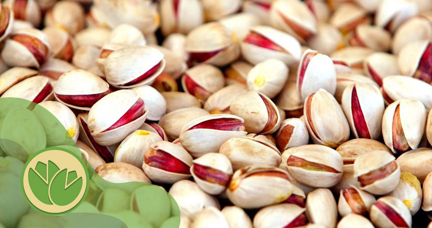 پسته ارزان
