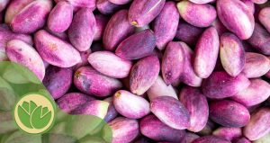خشک کردن پسته تازه در خانه