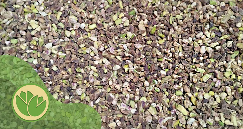 مغز پسته گندمی