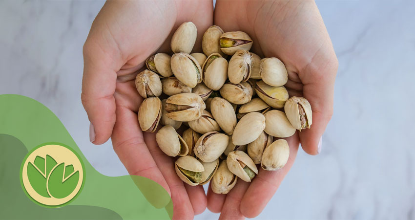 پسته در بارداری