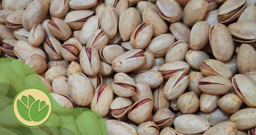 پسته خنجری